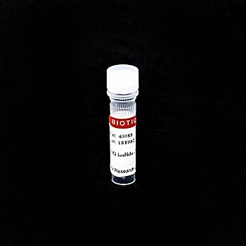 TO iodide (515/531), 1 mM in DMSO 1mL