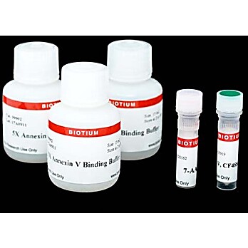 CF®488A and 7-AAD Apoptosis Assay Kit 