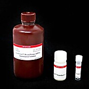 Accugreen™ Broad Range dsDNA Quantitation Solution