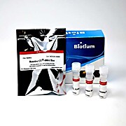 Mix-n-Stain™ Biotin Antibody Labeling Kit, 3x(5-20ug) labeling