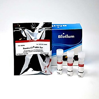 Mix-n-Stain™ Biotin Antibody Labeling Kit, 3x(5-20ug) labeling 