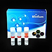 NucView® 488 and RedDot™ 2 Apoptosis & Necrosis Kit (100 assays)