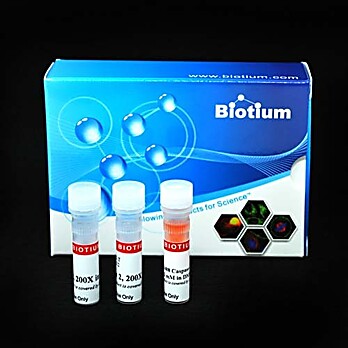 NucView® 488 and RedDot™ 2 Apoptosis & Necrosis Kit (100 assays) 