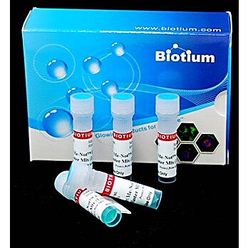 Forget-Me-Not™ Universal Probe qPCR Master Mix