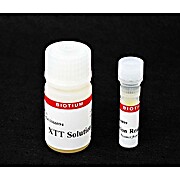 XTT Cell Viability Assay Kit (1000 Assays)