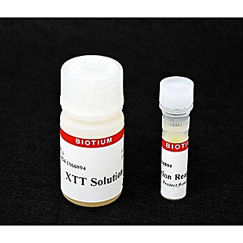 XTT Cell Viability Assay Kit (1000 Assays) 