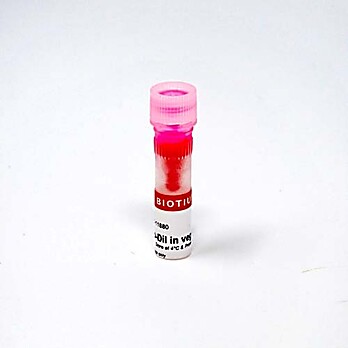 Neuro-DiI in vegetable oil 200uL