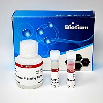 Apoptosis & Necrosis Quantification Kit (50 assays) 