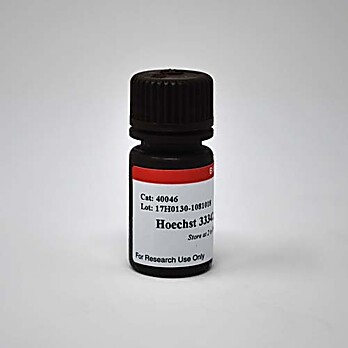 Hoechst 33258 100mg