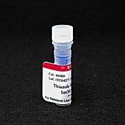 Thiazole Red Homodimer, 1 mM in DMSO 200uL
