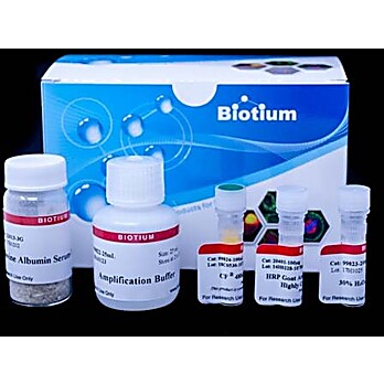 Tyramide Amplification Kit with HRP Goat Anti-Mouse and CF® Dye or Biotin Tyramide