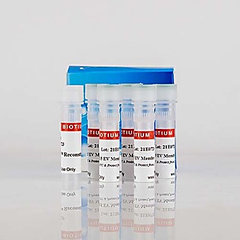 PMA Enhancer for Gram Negative Bacteria, 5X Solution 16mL