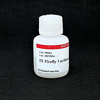 5X Firefly Luciferase Lysis Buffer 15mL