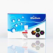 Ethidium homodimer III