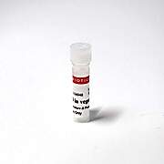 Neuro-DiO in vegetable oil 200uL