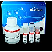 Apoptotic, Necrotic & Healthy Cells Quantitation Kit Plus (50 assays)