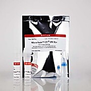 Mix-n-Stain™ CF® Dye Antibody Labeling Kits, 20-50 ug labeling