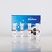 ExoBrite™ R-PE CD63 Flow Antibody