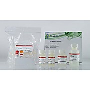 CELLDATA DNAstorm™ 2.0 FFPE DNA Extraction Kit, 50 preps