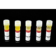 MTT Cell Viability Assay Kit (1000 Assays)