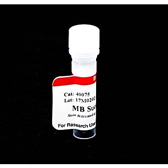 MB Succinimidyl Ester 5mg