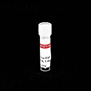 RNase-Free Calf Thymus DNA, 1mg/mL (1 mL)