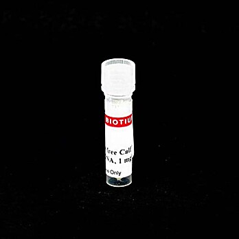 RNase-Free Calf Thymus DNA, 1mg/mL (1 mL)