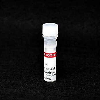 Calcein AM Cell Viability Assay Kit (1000 assays) 