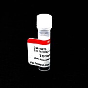 TO Succinimidyl Ester 5mg