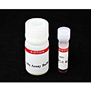 JC-1 Mitochondrial Membrane Potential Detection Kit