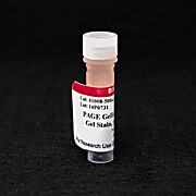 PAGE GelRed® Nucleic Acid Gel Stain, 10,000X in Water