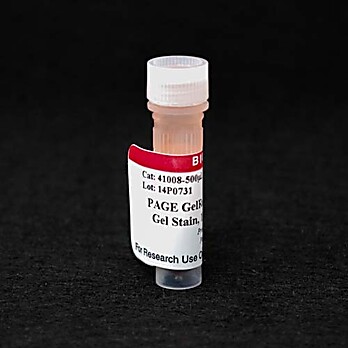 PAGE GelRed® Nucleic Acid Gel Stain, 10,000X in Water