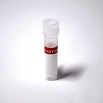 Cyanine 555-dUTP, Lyophilized powder 25 nmol