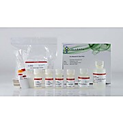 CELLDATA RNAstorm™ 2.0 FFPE RNA Extraction Kit, 50 preps