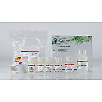CELLDATA RNAstorm™ 2.0 FFPE RNA Extraction Kit, 50 preps 