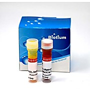 DiO/DPA Membrane Potential Detection Kit