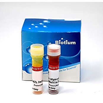 DiO/DPA Membrane Potential Detection Kit 