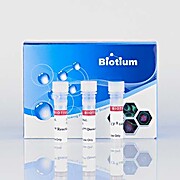 Mix-n-Stain™ Maxi FITC Antibody Labeling Kit