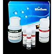 Renilla Luciferase Assay Kit 2.0