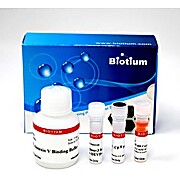 Dual Apoptosis Assay with NucView® 488 Caspase-3 Substrate and CF®594 Annexin V (50 assays)