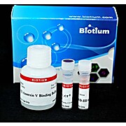 Apoptosis and Necrosis Quantitation Kit Plus (50 assays)