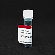6X DNA Loading Buffer (Orange) 1500uL