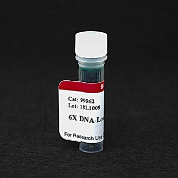 6X DNA Loading Buffer (Orange) 1500uL