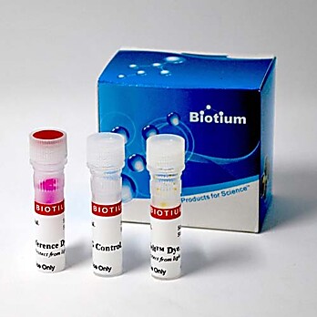 GloMelt™ Thermal Shift Protein Stability Kit 