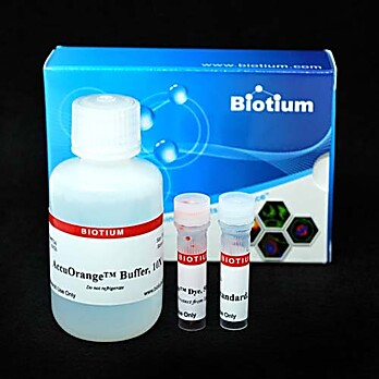 AccuOrange™ Protein Quantitation Kit