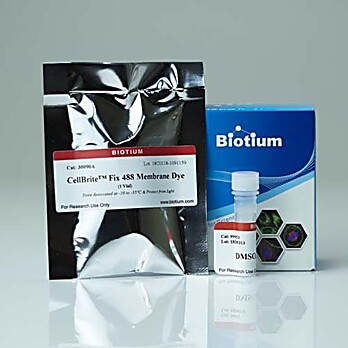 CellBrite™ Fix 555 Membrane Labeling Kit 