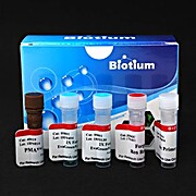 PMA Real-Time PCR Bacterial Viability Kit - Listeria monocytogenes (hly)