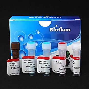 PMA Real-Time PCR Bacterial Viability Kit - Listeria monocytogenes (hly) 