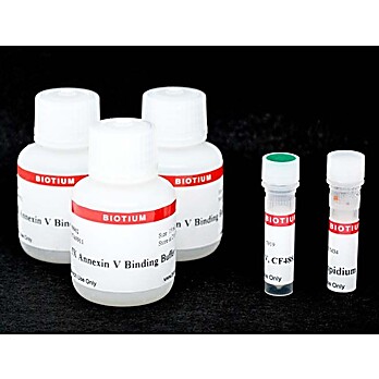 CF®488A and PI Apoptosis Assay Kit 