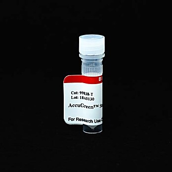 Accugreen™ Standard 2, 100 ng/uL 1mL